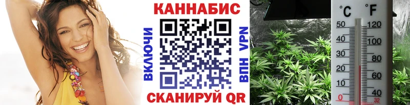 Купить где  Жуковка  Марихуана сатива 